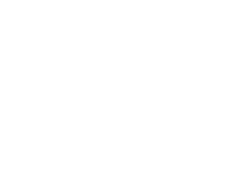 logo yan.pictures