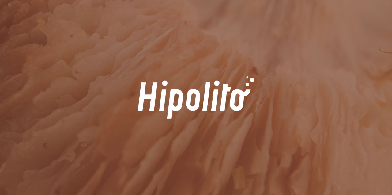 photo couverture projet Hipolito