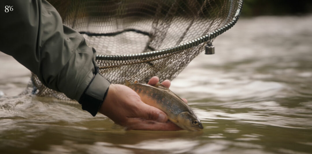 Tenkara 8pieds6