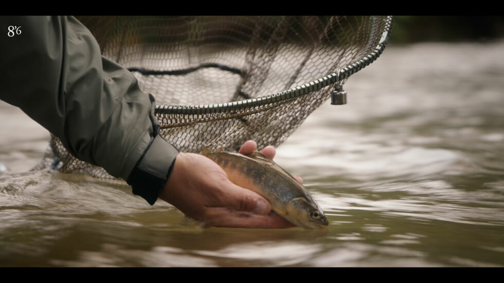 photo couverture projet tenkara